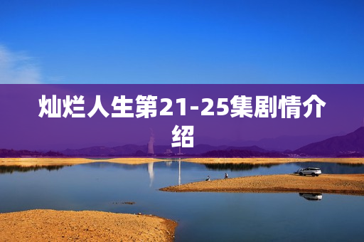 灿烂人生第21-25集剧情介绍