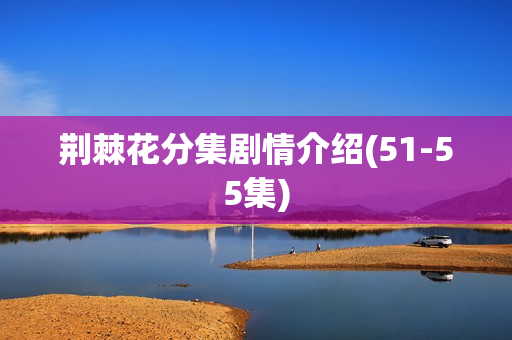 荆棘花分集剧情介绍(51-55集)