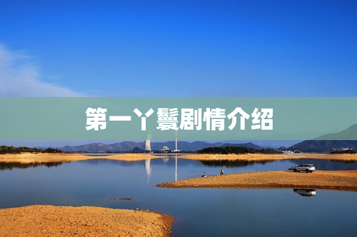 第一丫鬟剧情介绍 第一丫鬟剧情介绍