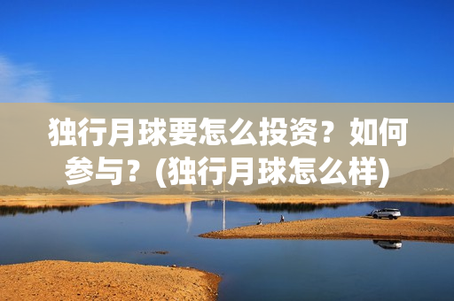 独行月球要怎么投资？如何参与？(独行月球怎么样)