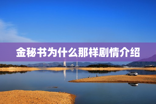 金秘书为什么那样剧情介绍