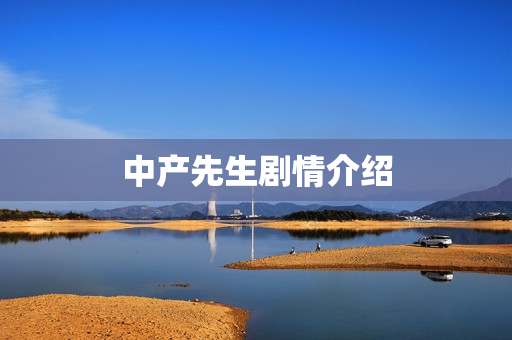 中产先生剧情介绍