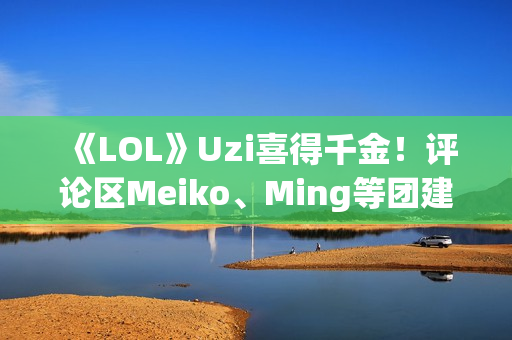 《LOL》Uzi喜得千金！评论区Meiko、Ming等团建