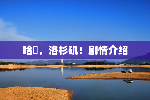 哈啰，洛杉矶！剧情介绍