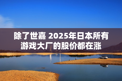 除了世嘉 2025年日本所有游戏大厂的股价都在涨