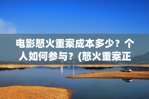 电影怒火重案成本多少？个人如何参与？(怒火重案正片)