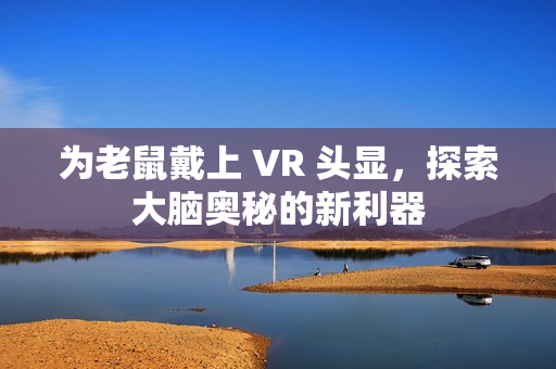 为老鼠戴上 VR 头显，探索大脑奥秘的新利器