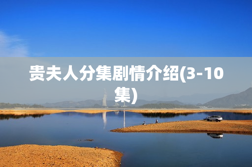 贵夫人分集剧情介绍(3-10集)