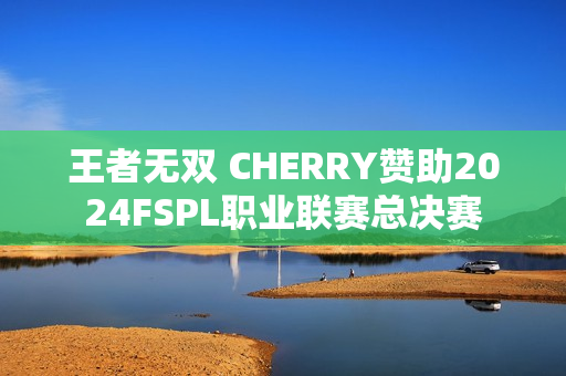 王者无双 CHERRY赞助2024FSPL职业联赛总决赛