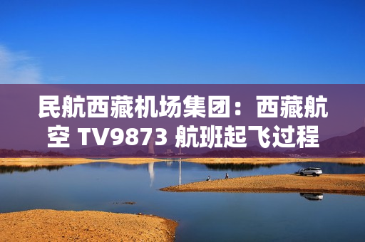 民航西藏机场集团：西藏航空 TV9873 航班起飞过程中遭遇鸟击，无人员受伤、飞机各项参数正常