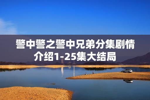 警中警之警中兄弟分集剧情介绍1-25集大结局