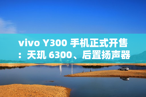 vivo Y300 手机正式开售：天玑 6300、后置扬声器设计，1399 元起