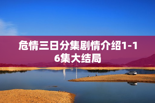 危情三日分集剧情介绍1-16集大结局