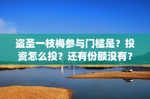 盗圣一枝梅参与门槛是？投资怎么投？还有份额没有？(盗圣一枝梅什么时候上映)