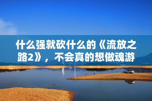 什么强就砍什么的《流放之路2》，不会真的想做魂游吧？