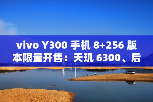 vivo Y300 手机 8+256 版本限量开售：天玑 6300、后置扬声器设计，首发 1499 元