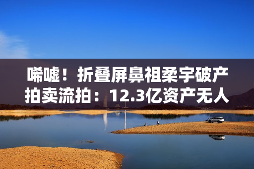 唏嘘！折叠屏鼻祖柔宇破产拍卖流拍：12.3亿资产无人问津