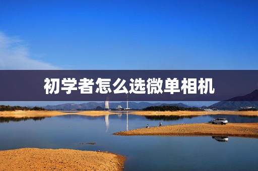 初学者怎么选微单相机