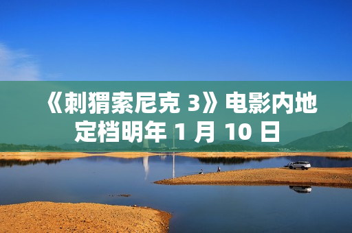 《刺猬索尼克 3》电影内地定档明年 1 月 10 日 《刺猬索尼克 3》电影内地定档明年 1 月 10 日