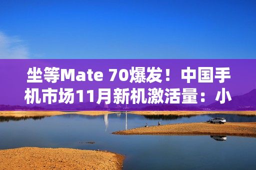 坐等Mate 70爆发！中国手机市场11月新机激活量：小米力压华为、苹果第一