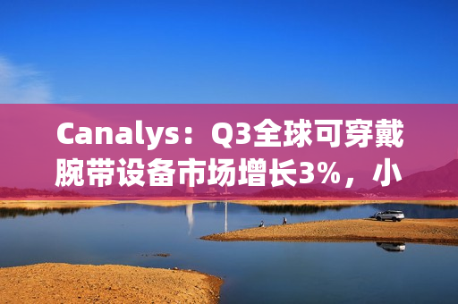Canalys：Q3全球可穿戴腕带设备市场增长3%，小米和苹果并列第一