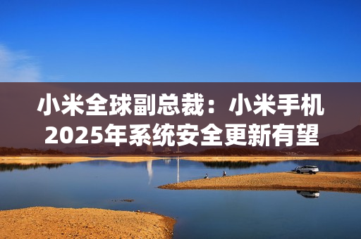 小米全球副总裁：小米手机2025年系统安全更新有望实现月更