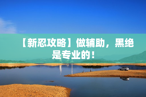 【新忍攻略】做辅助，黑绝是专业的！