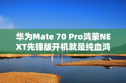 华为Mate 70 Pro鸿蒙NEXT先锋版开机就是纯血鸿蒙：不支持回退鸿蒙4.3