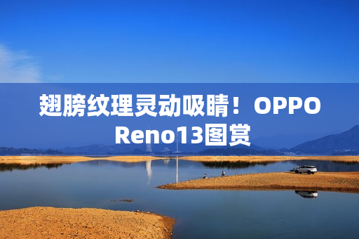 翅膀纹理灵动吸睛！OPPO Reno13图赏