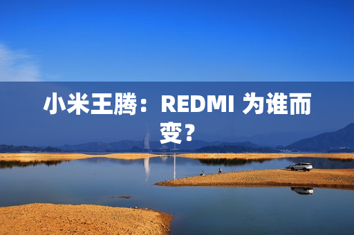 小米王腾：REDMI 为谁而变？