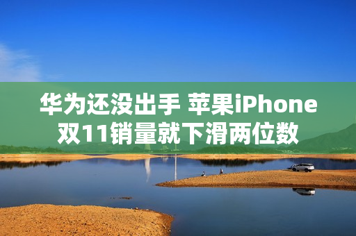 华为还没出手 苹果iPhone双11销量就下滑两位数