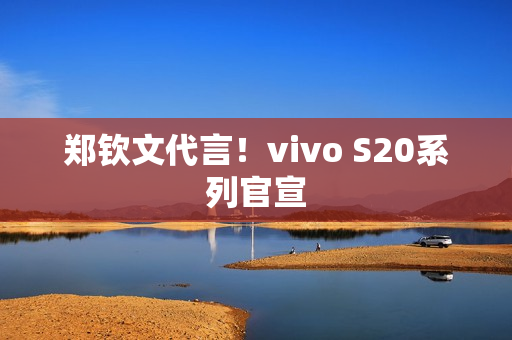 郑钦文代言！vivo S20系列官宣