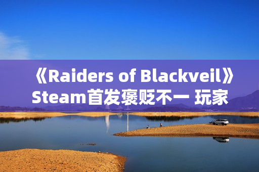 《Raiders of Blackveil》Steam首发褒贬不一 玩家：土豆服务器还敢强制联网？