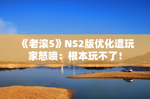《老滚5》NS2版优化遭玩家怒喷：根本玩不了！
