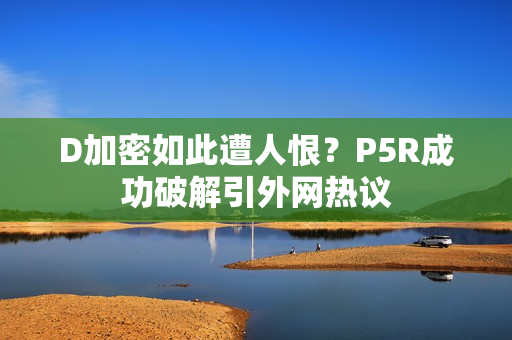 D加密如此遭人恨？P5R成功破解引外网热议