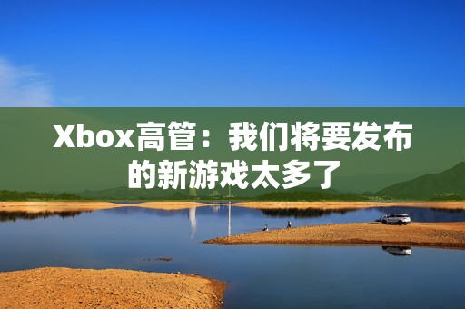 Xbox高管：我们将要发布的新游戏太多了