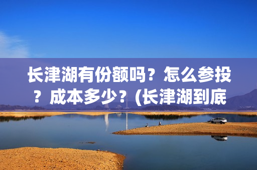 长津湖有份额吗？怎么参投？成本多少？(长津湖到底)