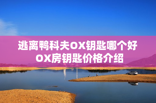 逃离鸭科夫OX钥匙哪个好 OX房钥匙价格介绍 逃离鸭科夫OX钥匙哪个好 OX房钥匙价格介绍