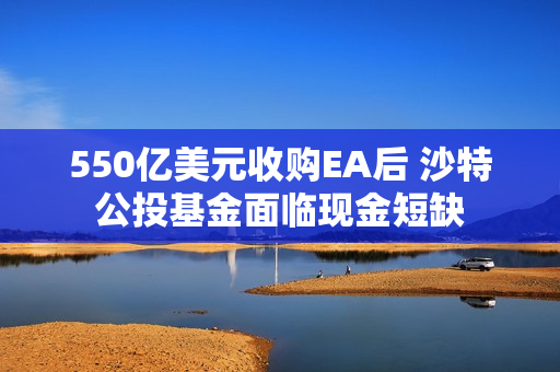 550亿美元收购EA后 沙特公投基金面临现金短缺