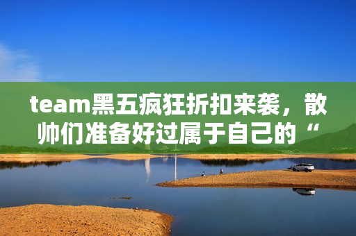team黑五疯狂折扣来袭，散帅们准备好过属于自己的“双十一了吗”