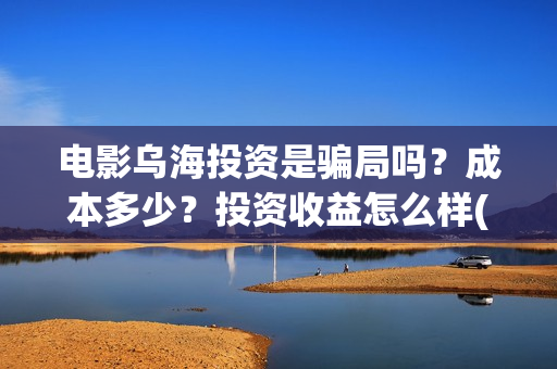 电影乌海投资是骗局吗？成本多少？投资收益怎么样(乌海电影什么时候拍的)