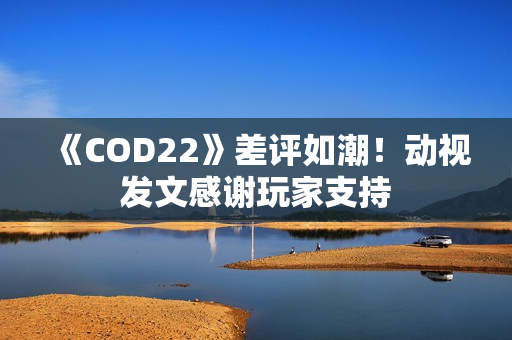 《COD22》差评如潮!动视发文感谢玩家支持 《COD22》差评如潮!动视发文感谢玩家支持
