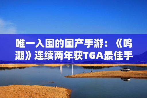 唯一入围的国产手游：《鸣潮》连续两年获TGA最佳手游提名