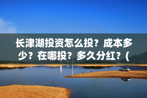 长津湖投资怎么投？成本多少？在哪投？多久分红？(长津湖投资是真实的吗)