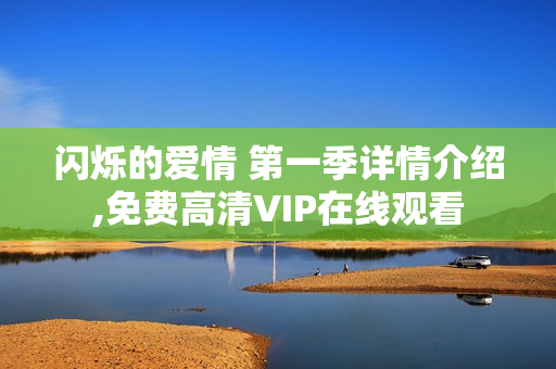 闪烁的爱情 第一季详情介绍,免费高清VIP在线观看