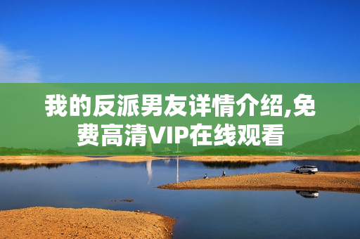 我的反派男友详情介绍,免费高清VIP在线观看