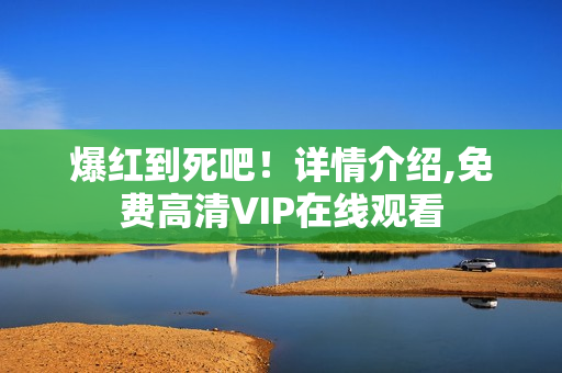 爆红到死吧！详情介绍,免费高清VIP在线观看