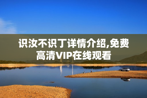 识汝不识丁详情介绍,免费高清VIP在线观看
