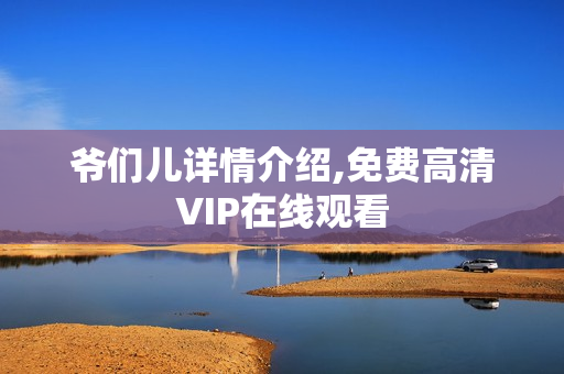 爷们儿详情介绍,免费高清VIP在线观看