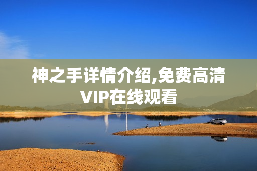 神之手详情介绍,免费高清VIP在线观看